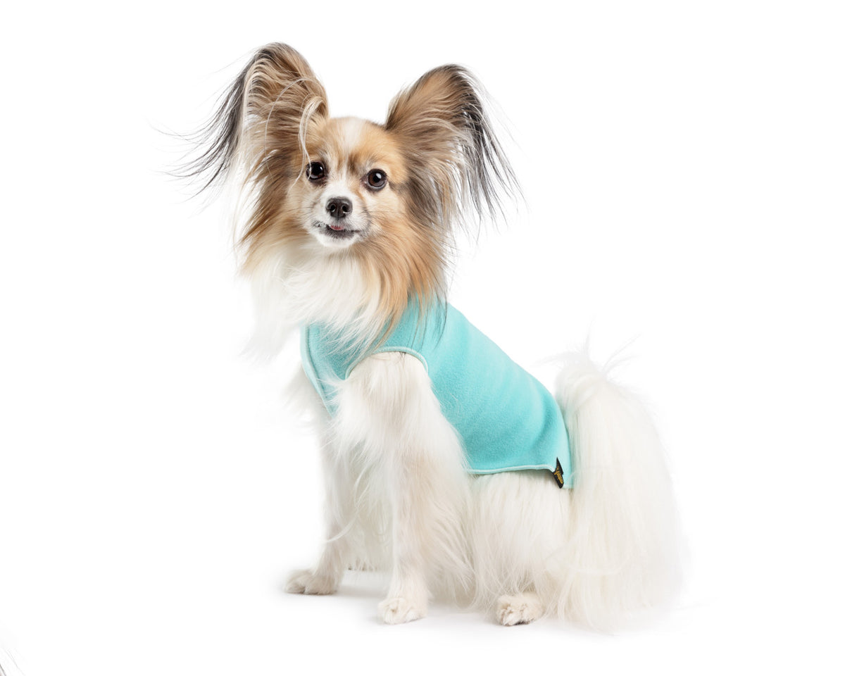 Turquoise fleece dog coat with high collar and front leg cutouts, worn by small dog