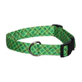 Green plaid dog collar with black buckle and metal D-ring