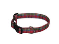 Red tartan dog collar with black strap and metal D-ring buckle
