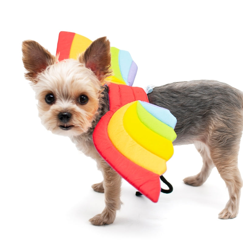 Dog in rainbow dragon wings costume, showing side view of multicolor quilted wings