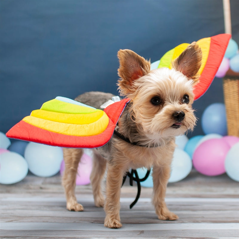 Dog wearing rainbow dragon wings costume with red, yellow, and green quilted wings