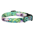Teal tropical leaf dog collar with adjustable buckle and D-ring