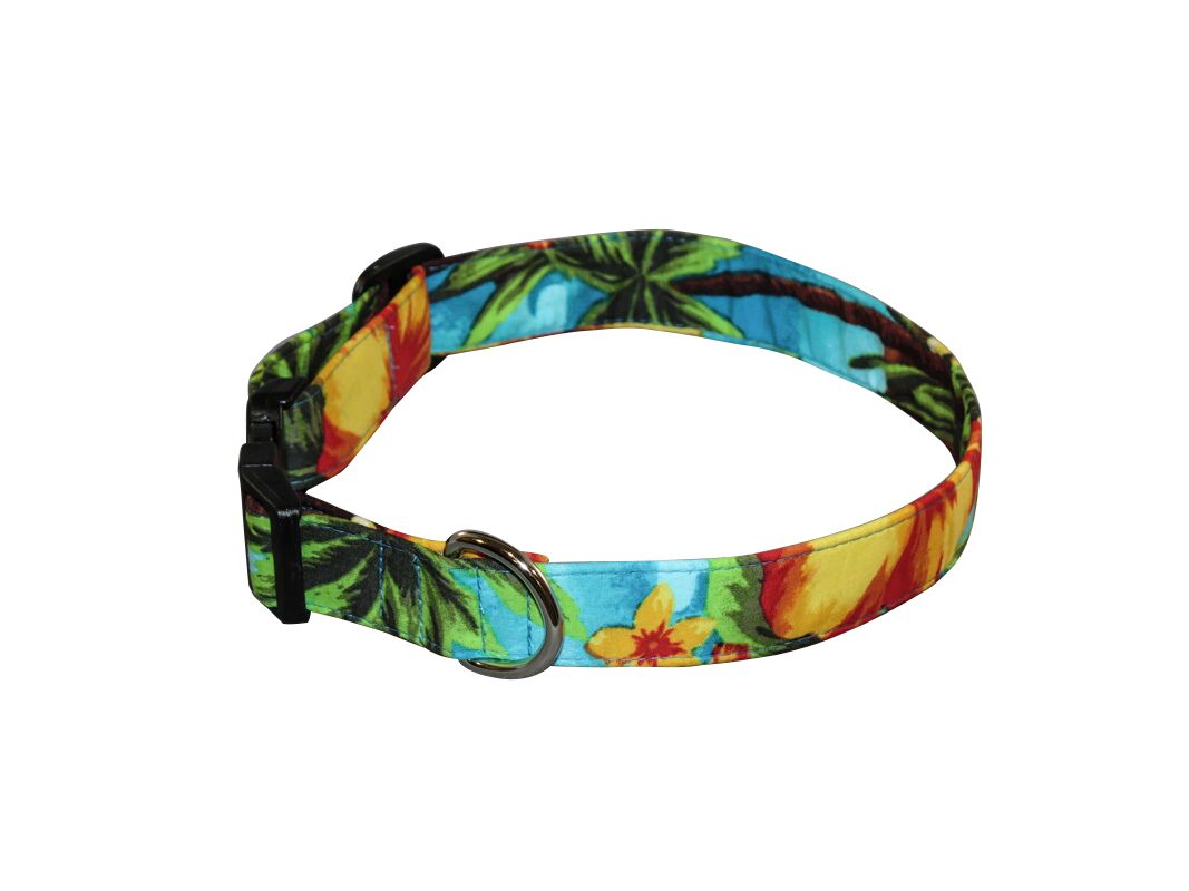 Tropical paradise dog collar with colorful tropical leaf and flower print, buckle