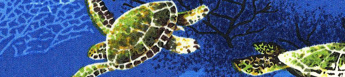 Marine turtle print fabric close-up on blue dog collar