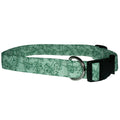 Green dog collar with shamrock pattern, adjustable black buckle and D-ring