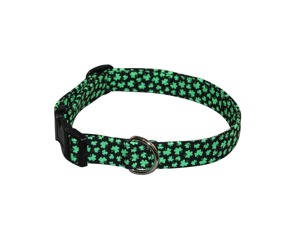 Green shamrock night dog collar with black trim, buckle and D-ring.