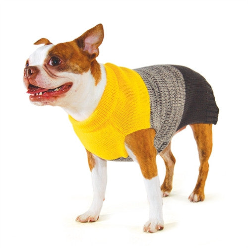 Dog wearing yellow knit sweater with gray and dark navy color blocks