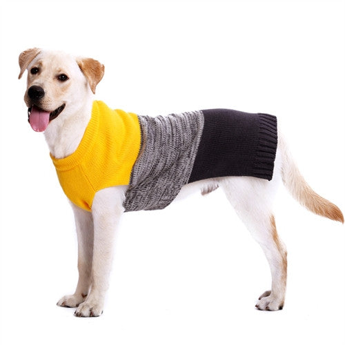 Dog wearing yellow knit dog sweater with gray panel and dark navy ribbed cuffs