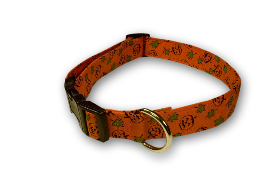 Orange patterned dog collar with jack-o-lanterns, green leaves, brown buckle, gold ring