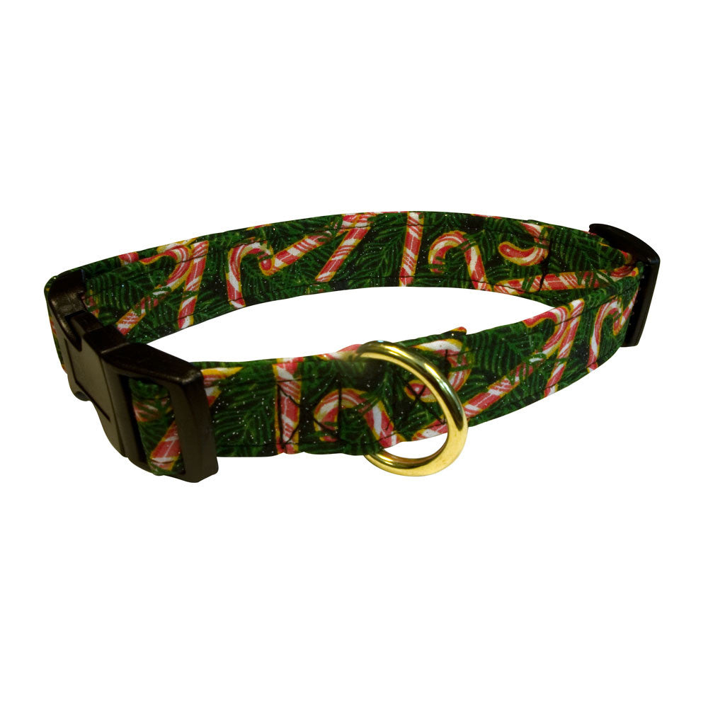 Green dog collar with pine and candy cane pattern, black trim, gold ring
