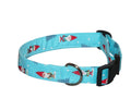 Turquoise dog collar with gnome print, metal D-ring and black plastic buckle.