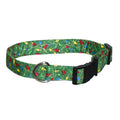 Green dog collar with colorful light pattern, black buckle and metal D-ring