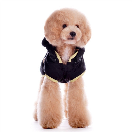 Dog trench-style coat with hood, black fabric and light trim, front view on a pet