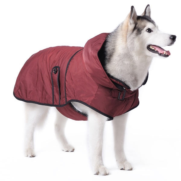 Maroon dog raincoat-style trench with hood and black trim, worn side view