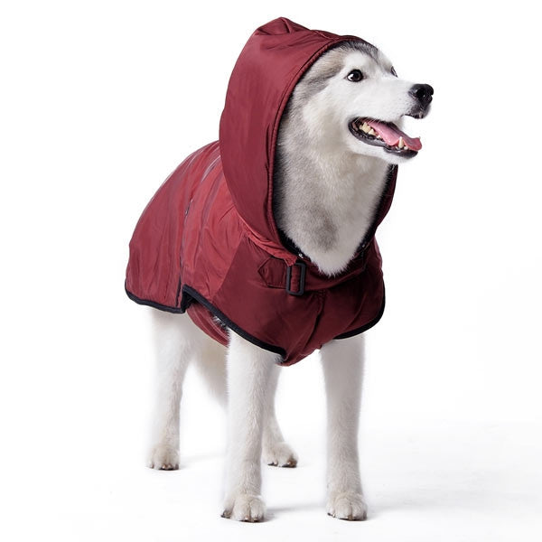 Maroon hooded dog trench coat with black trim and front strap, three-quarter view