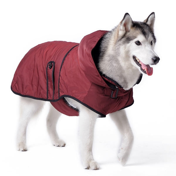 Maroon dog trench raincoat with hood and black edging, front side view