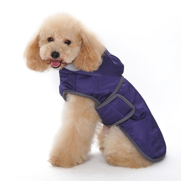 Purple hooded padded dog trench coat with gray trim on a small dog