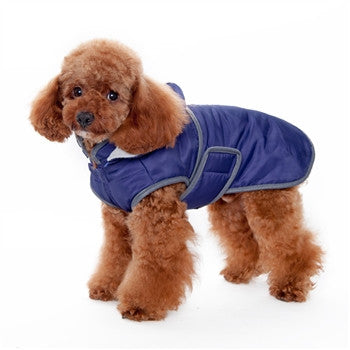 Purple hooded dog trench coat with gray trim, front view