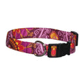 Purple and orange patterned dog collar with metal D-ring and black buckle