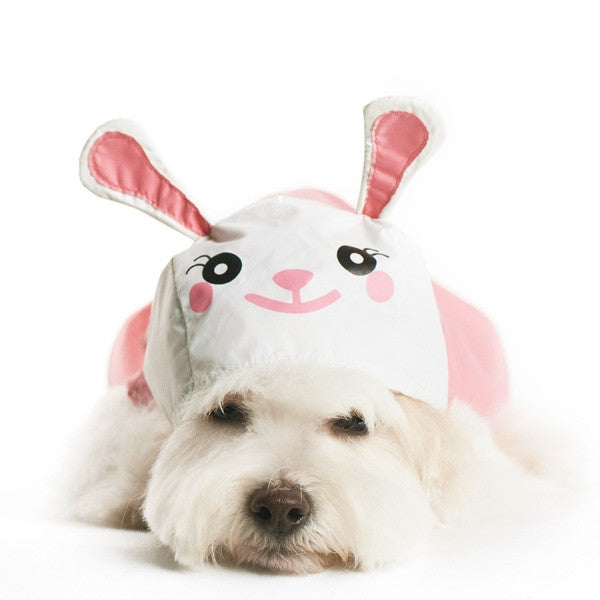 Pink and white bunny-eared dog raincoat worn by small white dog