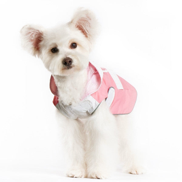 Pink and white bunny raincoat with mesh texture, worn by small white dog