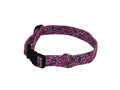 Fuchsia paisley dog collar with black buckle and adjustable strap