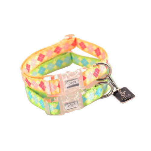 Multicolor argyle dog collar with metal buckle, D-ring, and branded tag