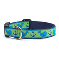 Navy dog collar with blue whale and anchor print, brass D-ring and buckle
