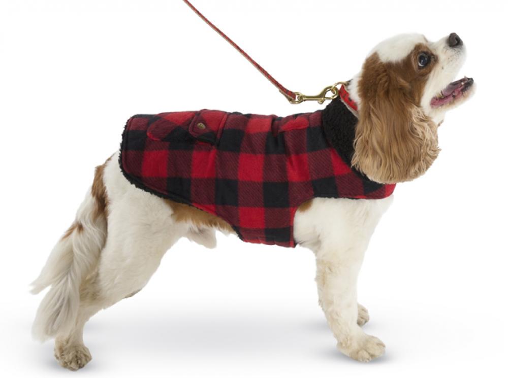 Red and black buffalo check fleece-lined dog coat with snap front and neck coverage