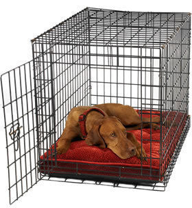 Gray quilted crate mattress inside a metal dog crate with a sleeping dog