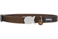 Red Dingo designer cat safety collar in brown fabric with white cat tag and bell