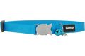 Red Dingo turquoise cat safety collar with fish charm, bell and adjustable clasp