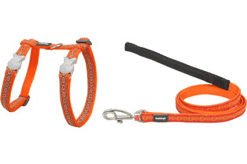 Red Dingo cat harness and lead combo: orange patterned harness with gray clips