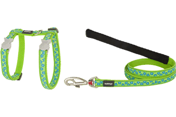 Turquoise and lime star cat harness with matching lead and metal clip