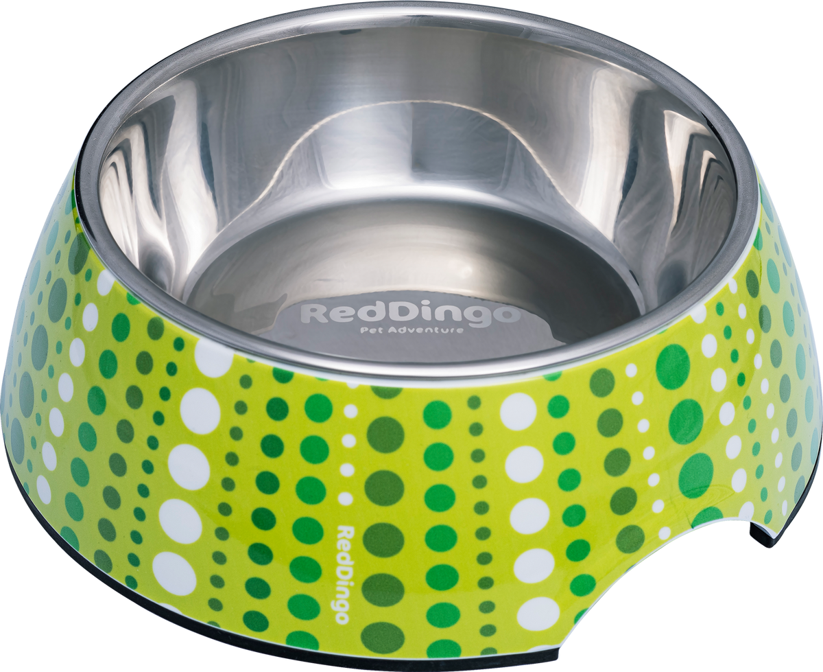 Red Dingo stainless dog bowl with lime green dotted design