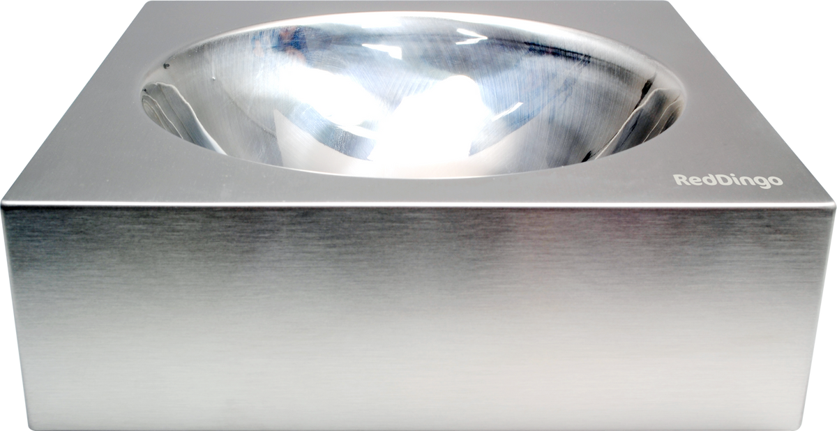 Red Dingo stainless steel dog bowl with reflective interior