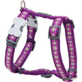 Purple daisy-pattern dog harness with front chest strap and metal buckles