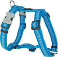 Turquoise fabric dog harness with daisy pattern, adjustable straps and buckles