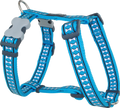 Turquoise dog harness with reflective bone pattern and gray back handle loop