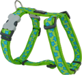 Red Dingo designer dog harness with turquoise star pattern on lime green, adjustable straps