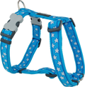 Turquoise dog harness with white star pattern and padded adjustable straps