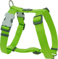 Red Dingo lime green dog harness with adjustable straps and chest padding, buckle closures