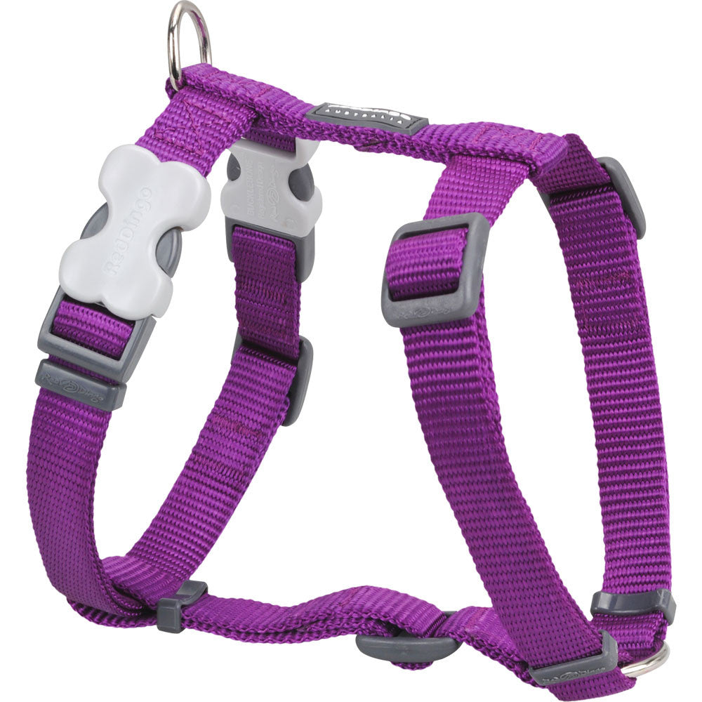 Purple woven dog harness with adjustable straps and metal D-ring, front padding