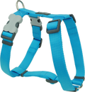 Red Dingo turquoise dog harness with adjustable straps and front buckle