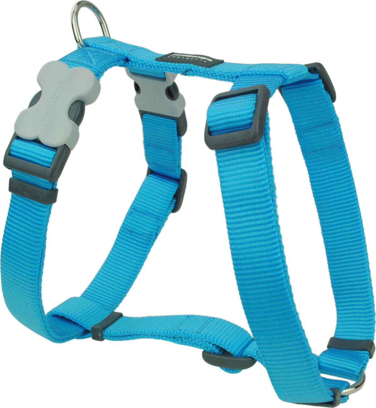 Red Dingo turquoise dog harness with adjustable straps and front buckle