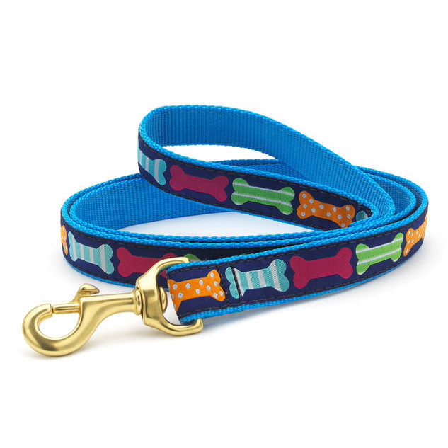 Dog collar with blue webbing, colorful bone print, gold clasp and D-ring