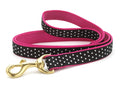 Black dog leash with white dot pattern, pink edging, and gold swivel clip