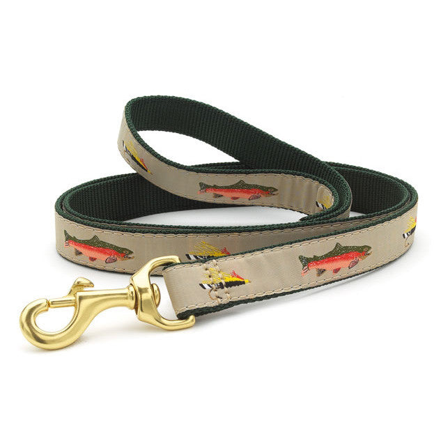Fly-fishing dog collar in khaki with trout print, green edging and brass clasp