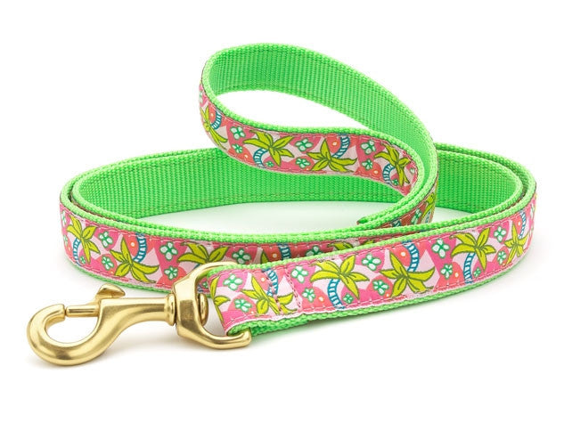Pink and green patterned dog leash with gold clasp
