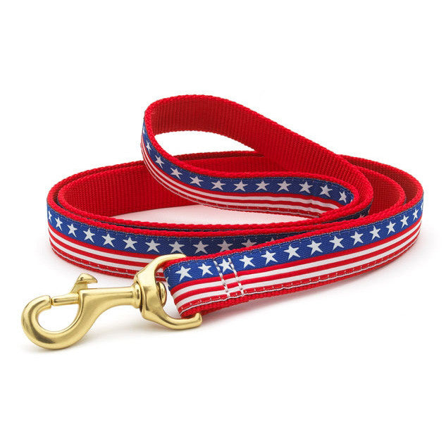Stars-and-stripes dog collar with gold D-ring and red adjustable webbing